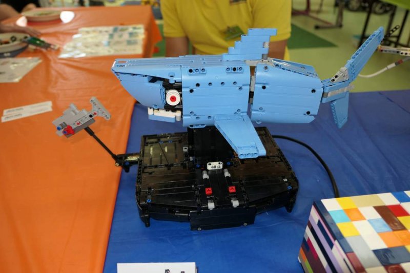 foto Kostkování Olomouc květen 2019 275