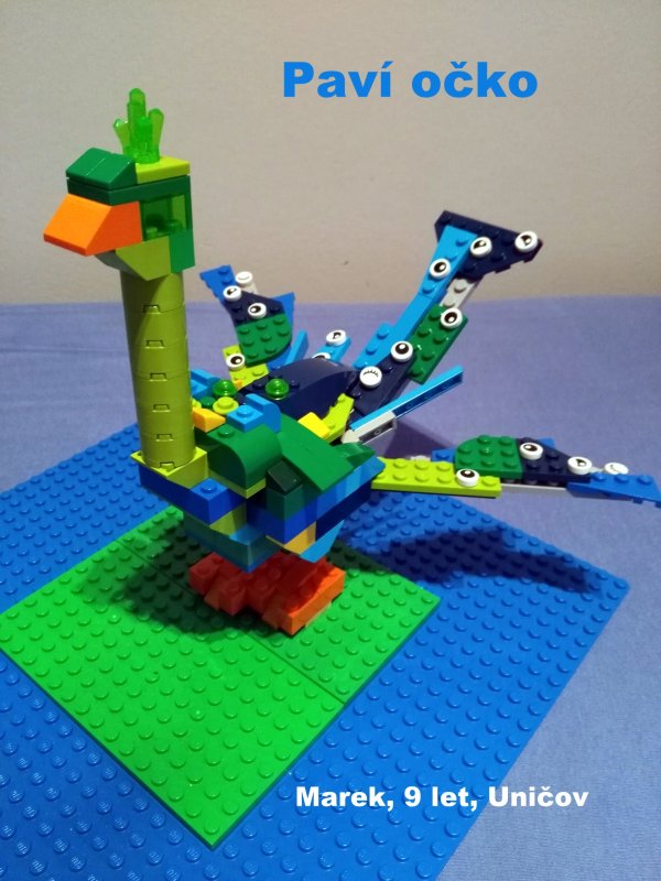 foto SOUTĚŽ Oči 2072