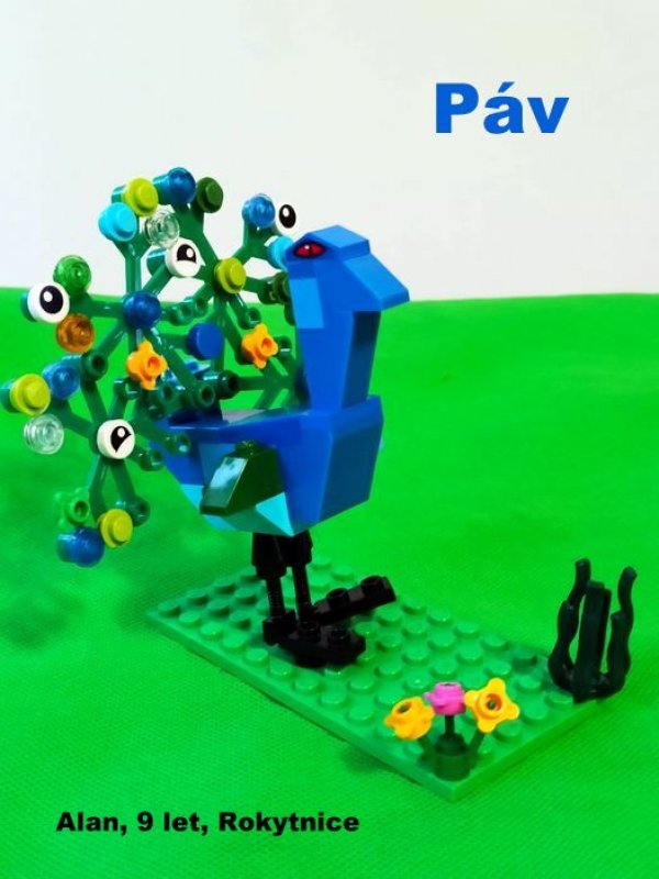 foto SOUTĚŽ Oči 2073