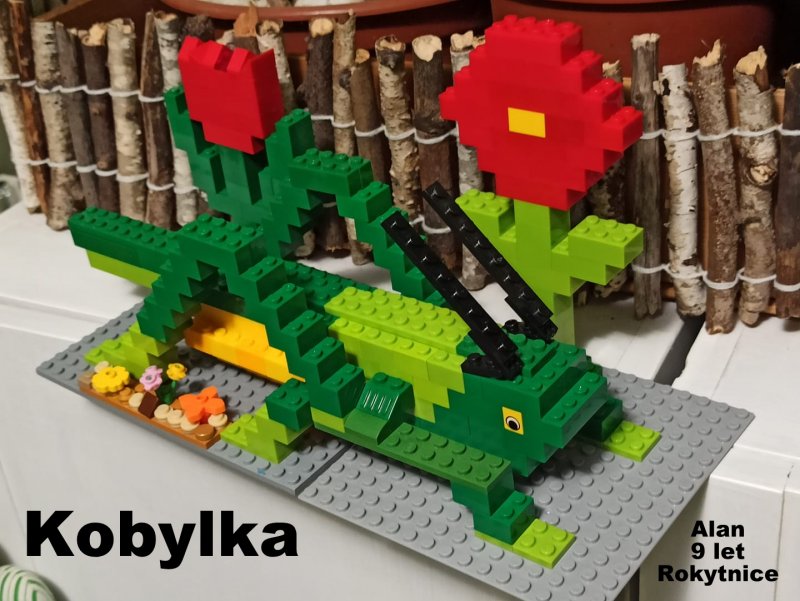 foto SOUTĚŽ Oči 2076