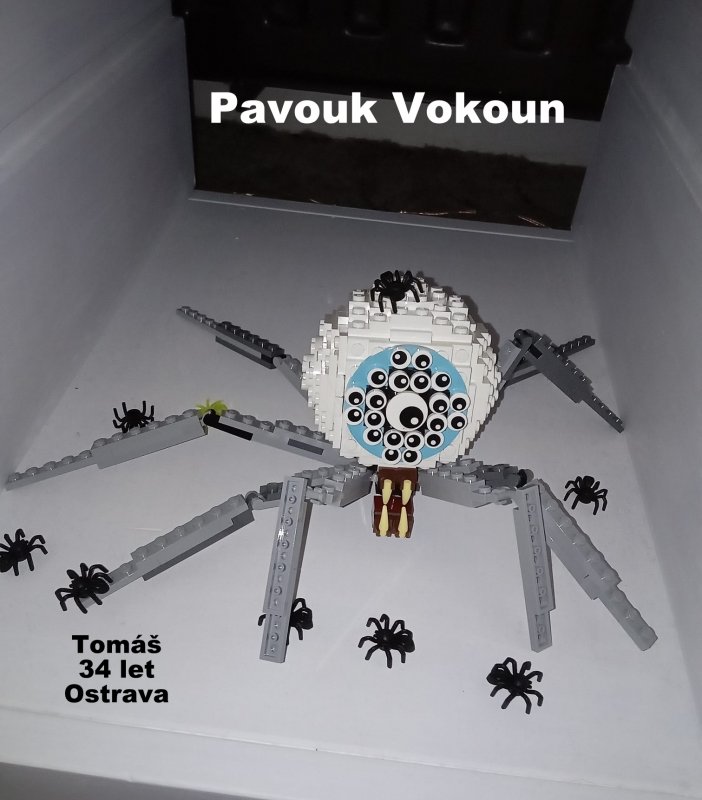 foto SOUTĚŽ Oči 2086