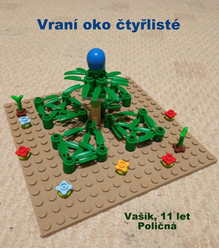 foto SOUTĚŽ Oči 2090