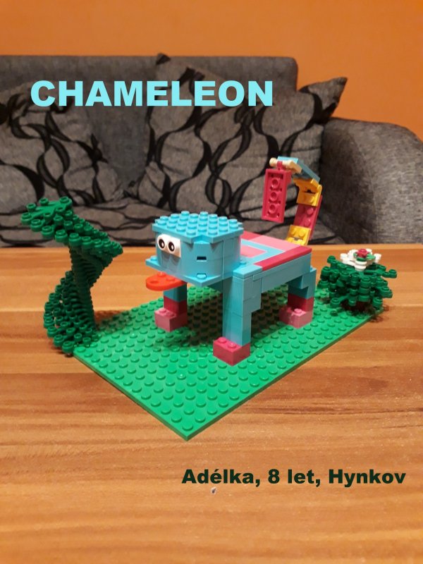 foto SOUTĚŽ Oči 2092