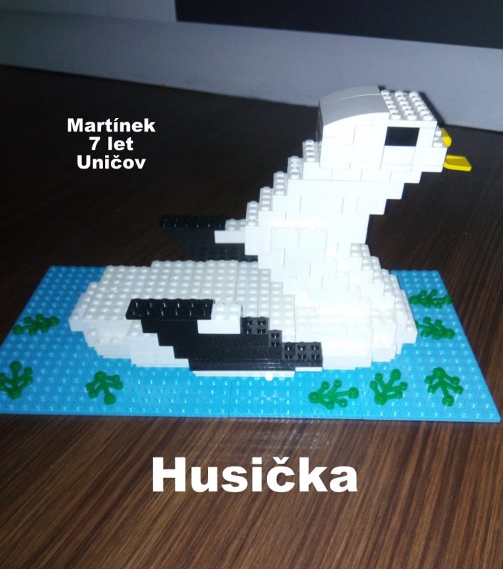 foto SOUTĚŽ Oči 2096