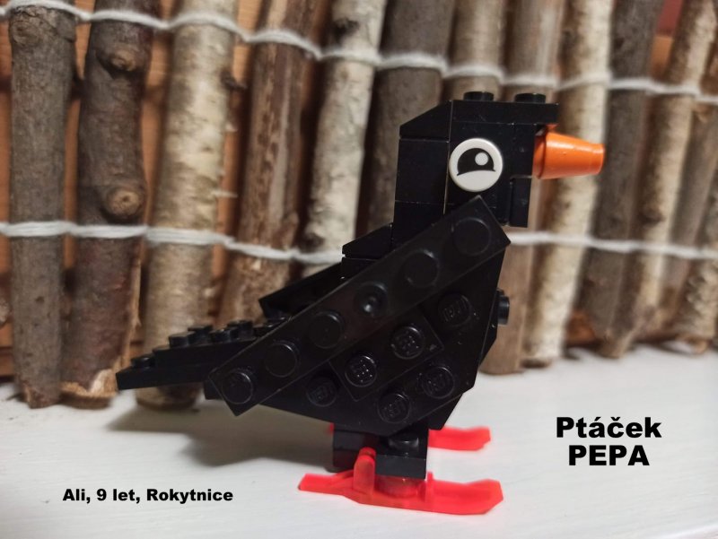 foto SOUTĚŽ Oči 2167