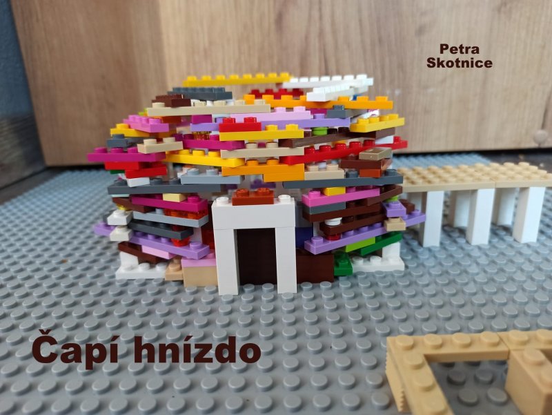 foto SOUTĚŽ Světová architektura 2574