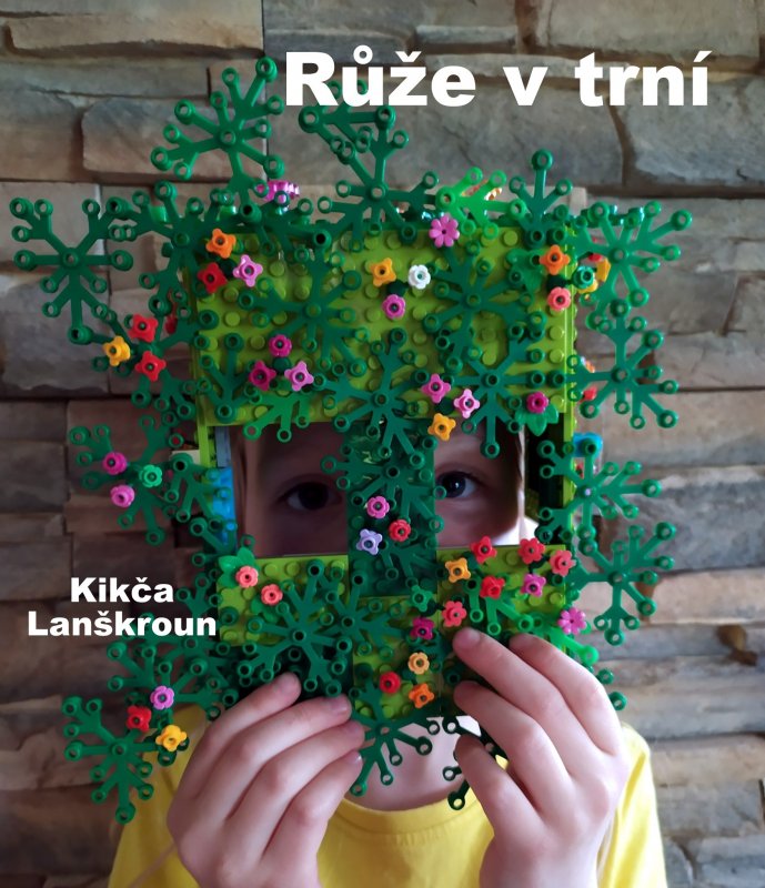 foto SOUTĚŽ Maska 2768