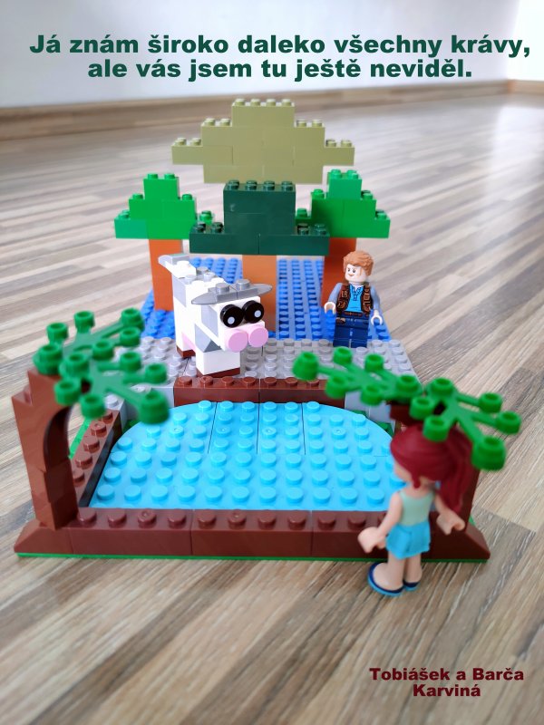 foto SOUTĚŽ Filmová scénka 2932