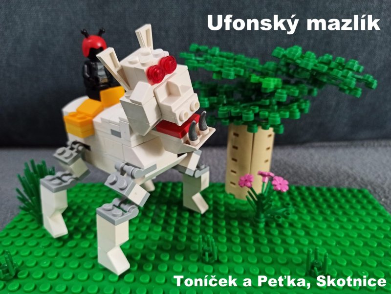 foto SOUTĚŽ Ufon 3039