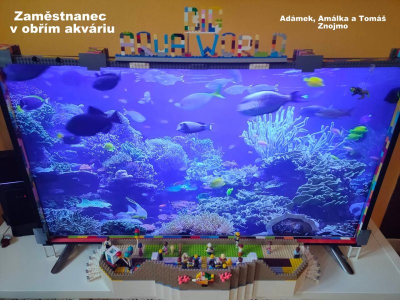 foto SOUTĚŽ Povolání 3287