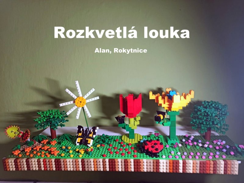 foto SOUTĚŽ Police 3322