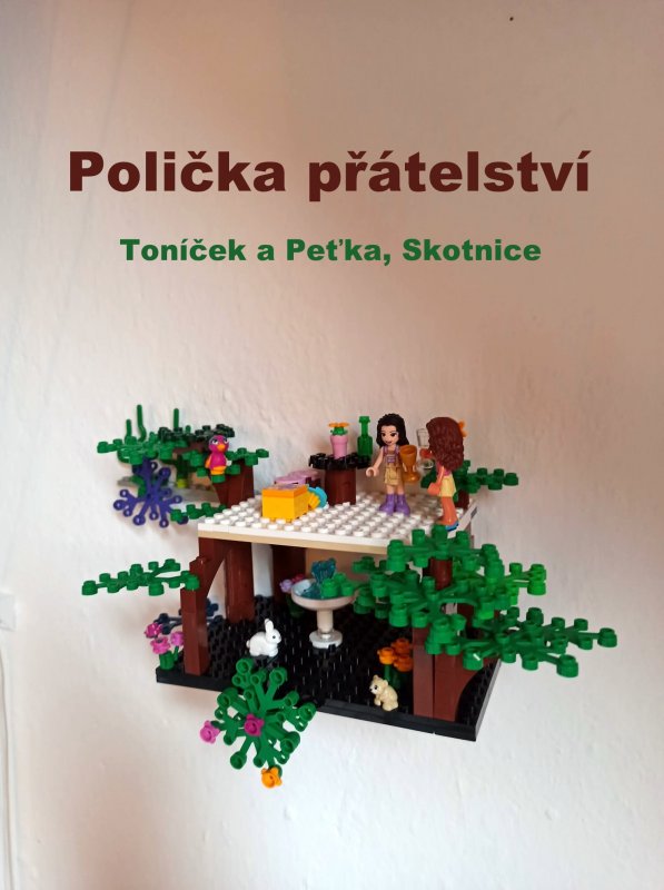 foto SOUTĚŽ Police 3329