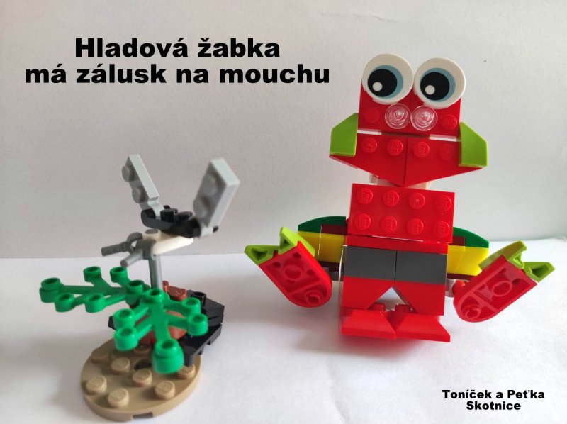 foto SOUTĚŽ Kombi 3722