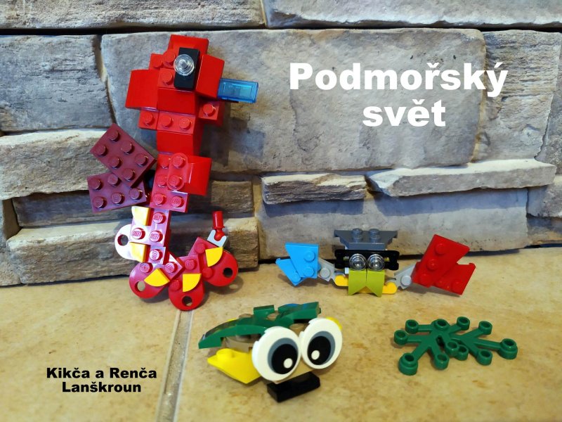 foto SOUTĚŽ Kombi 3735