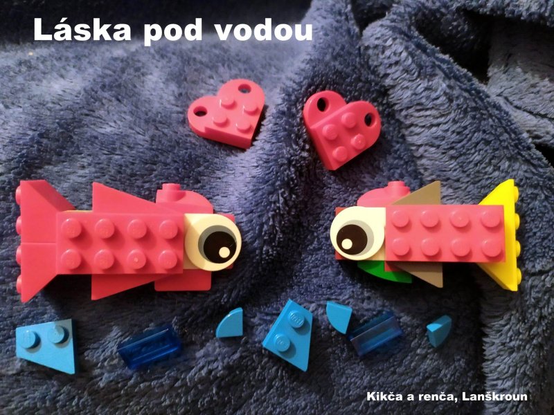 foto SOUTĚŽ Kombi 3737