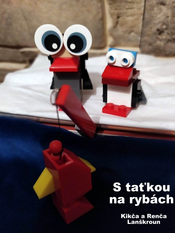 foto SOUTĚŽ Kombi 3738