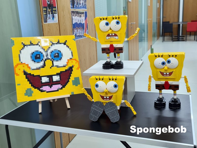 foto naše VÝSTAVNÍ AKCE 4228