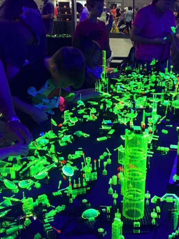 foto naše VÝSTAVNÍ AKCE 4233