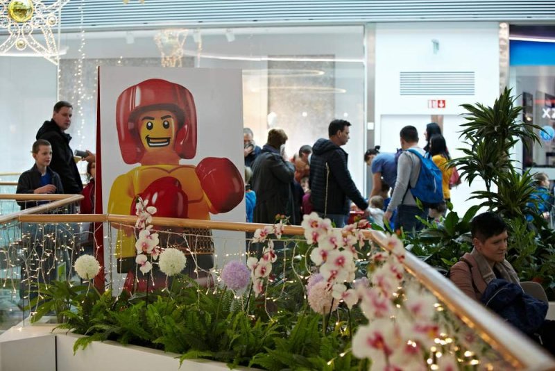 foto naše VÝSTAVNÍ AKCE 4250