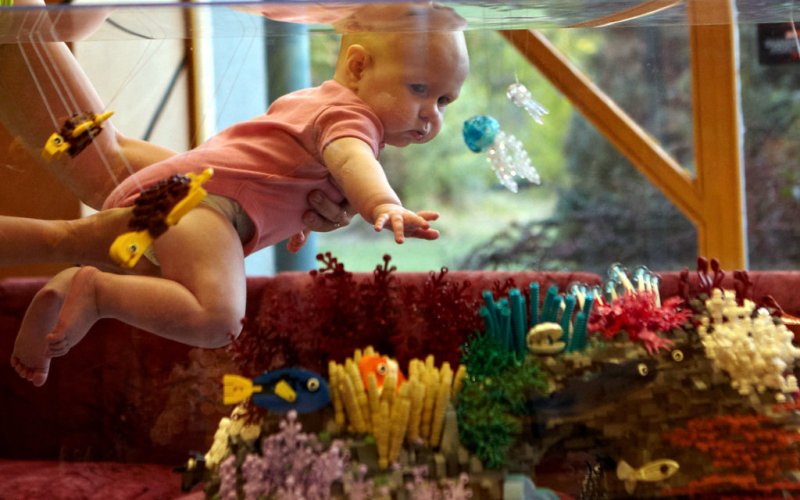 foto naše VÝSTAVNÍ AKCE 4269