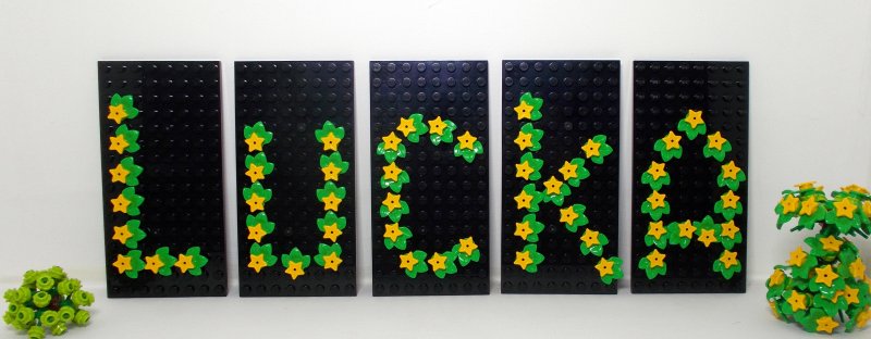 foto Přední stavitelé Kostkování 4392