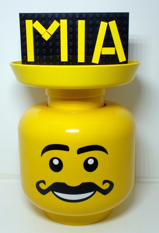 foto Přední stavitelé Kostkování 4395