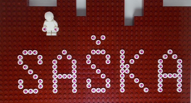 foto Přední stavitelé Kostkování 4402