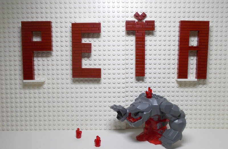 foto Přední stavitelé Kostkování 4417