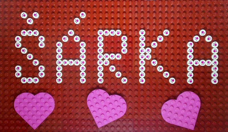 foto Přední stavitelé Kostkování 4422