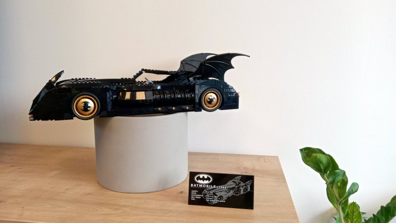 foto KOSTKY MEZI OBRAZY I. ...Hudba 4620