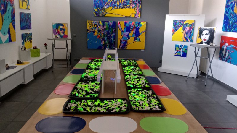 foto KOSTKY MEZI OBRAZY I. ...Hudba 4642