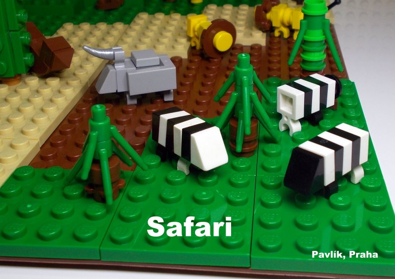 foto SOUTĚŽ Mikrosvět 4676