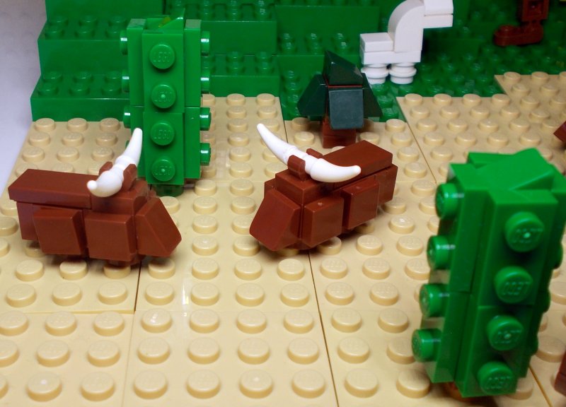 foto SOUTĚŽ Mikrosvět 4677