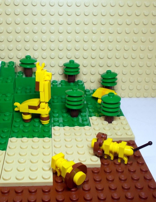 foto SOUTĚŽ Mikrosvět 4678