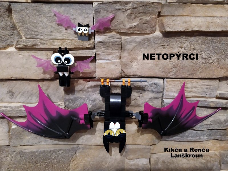 foto SOUTĚŽ Halloween 4977