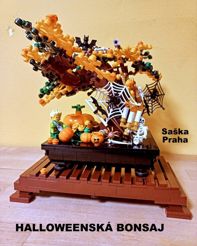 foto SOUTĚŽ Halloween 4980