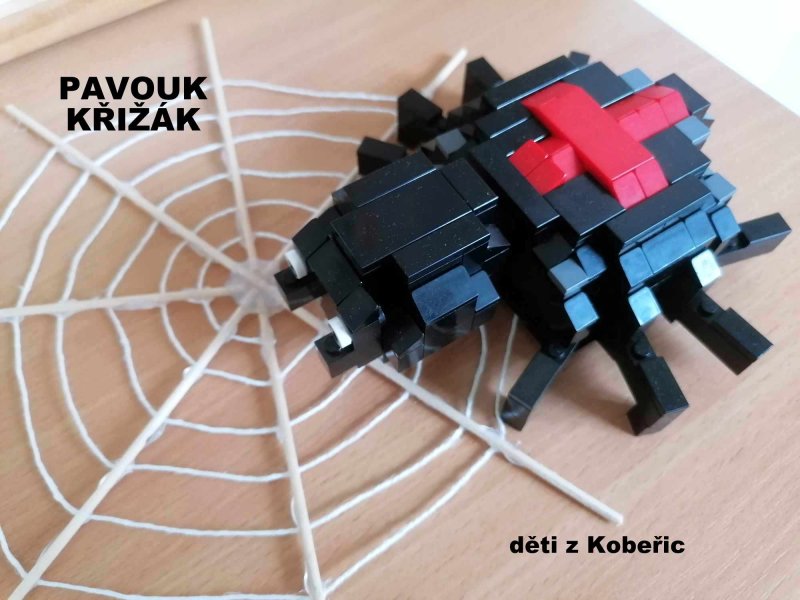 foto SOUTĚŽ Halloween 4982