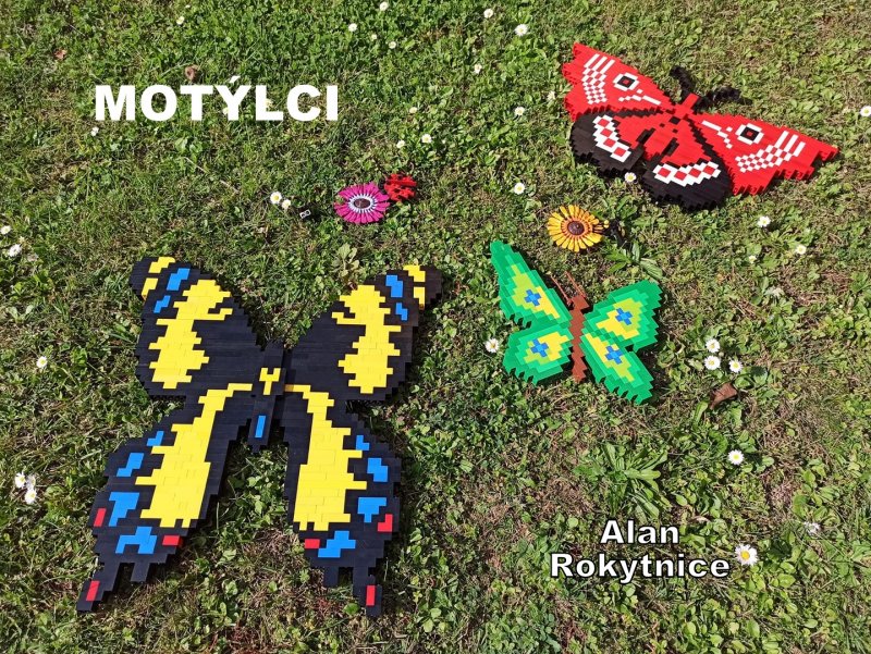 foto SOUTĚŽ Ze života hmyzu 5137