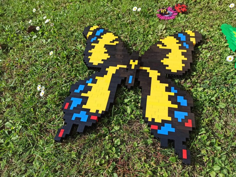 foto SOUTĚŽ Ze života hmyzu 5138