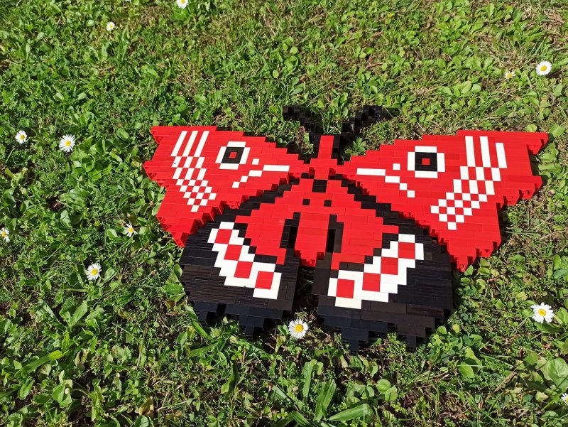 foto SOUTĚŽ Ze života hmyzu 5139