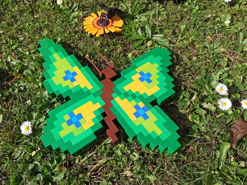 foto SOUTĚŽ Ze života hmyzu 5140