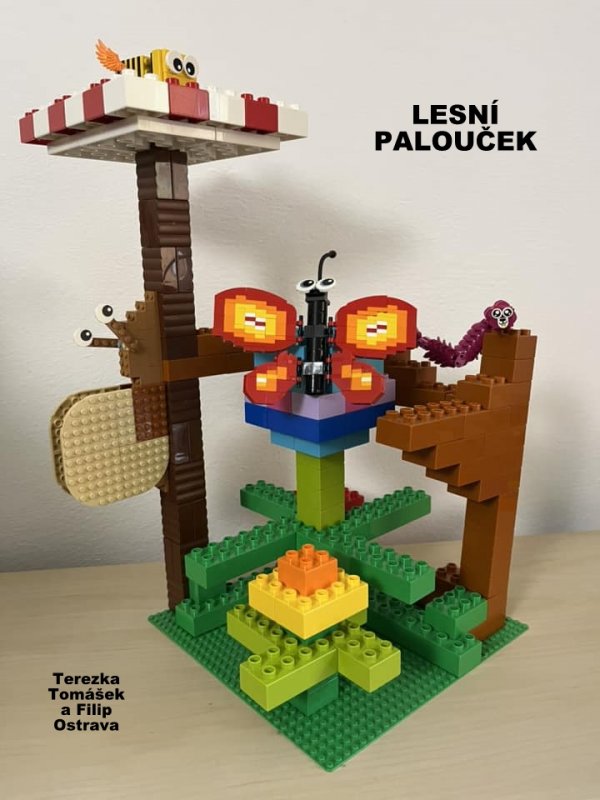 foto SOUTĚŽ Ze života hmyzu 5141