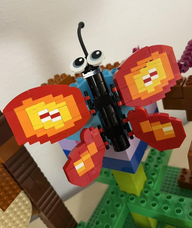 foto SOUTĚŽ Ze života hmyzu 5142