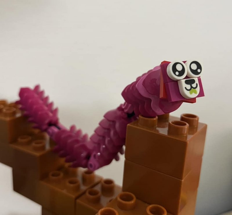 foto SOUTĚŽ Ze života hmyzu 5143