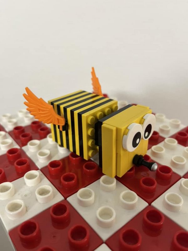 foto SOUTĚŽ Ze života hmyzu 5144