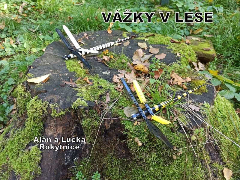 foto SOUTĚŽ Ze života hmyzu 5146