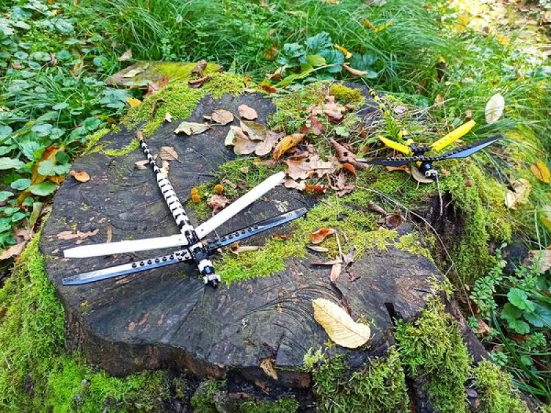 foto SOUTĚŽ Ze života hmyzu 5147