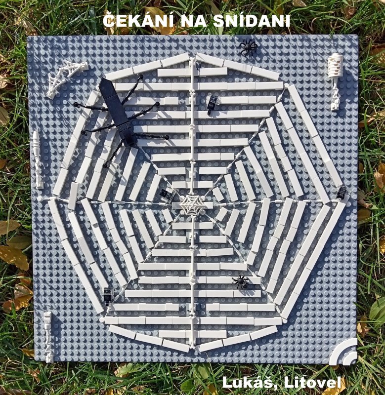 foto SOUTĚŽ Ze života hmyzu 5148