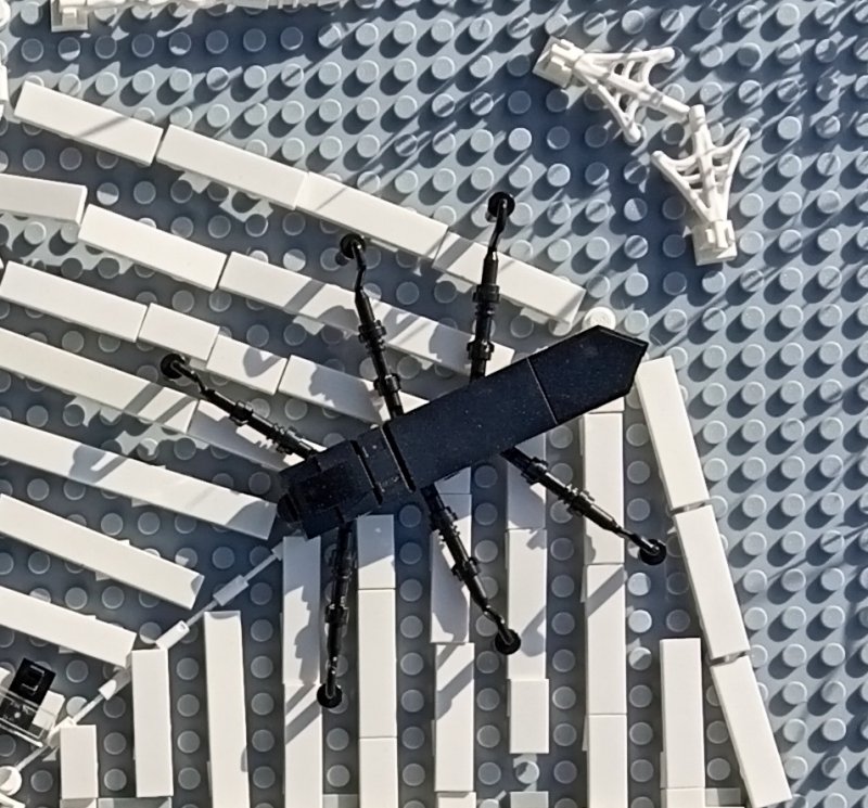 foto SOUTĚŽ Ze života hmyzu 5149