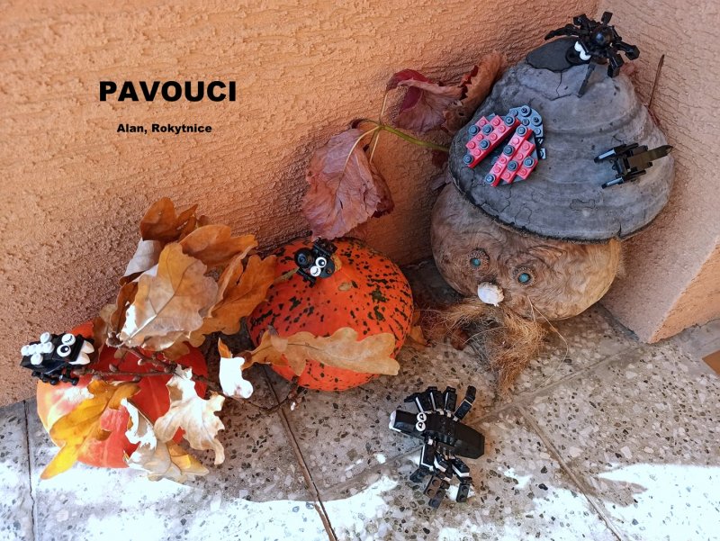 foto SOUTĚŽ Ze života hmyzu 5150